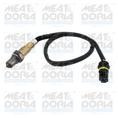 Oxygen Sensor